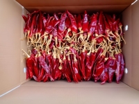 Chiles Guajillo Secos al Sol, Picante Suave, Rojo, en Paquete Grande a Precio Económico