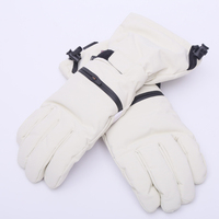 Gants d'hiver pour le ski et le snowboard, épaissis, imperméables, protection contre le froid, isolés, unisexes avec doublure chaude