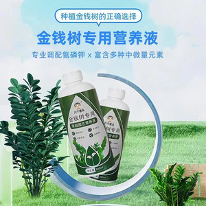 Solution nutritive spéciale Eight Old Men Money Tree 300ml, nourriture liquide pour plantes d'intérieur - Product Image 1