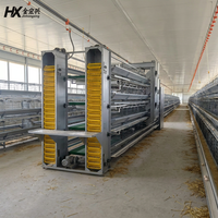 Cages à poulets automatiques galvanisées de type H pour 5000 à 10000 poulets, équipement d'élevage avicole