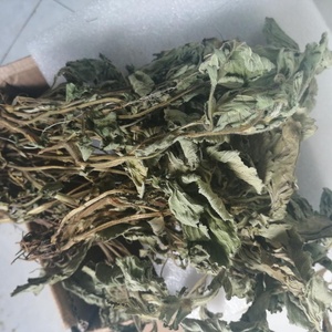 LAN Bu Zheng เอเชียสมุนไพร bennet <span class=keywords><strong>ชา</strong></span>ป่าทั้งแห้ง geum japonicum เหนือพื้นดิน - Product Image 3