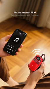 Xách tay FM Đài phát thanh gurbani Máy nghe nhạc MP3 với kỹ thuật số số lựa chọn USB-C sạc pin TF sạc cổng quran/bible Loa - Product Image 5