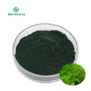 B.C.I Supply Spiruline biologique 60% de protéines Extrait de spiruline Poudre de spiruline Nature pure Poudre d'algues vertes - Product Image 1