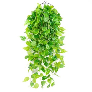 Plante artificielle Pothos 105 cm, plante grimpante verte à cinq branches pour la décoration de la maison et des mariages - Product Image 5