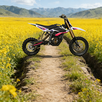 Hyper Bee 5000W Dirtbike électrique tout-terrain puissant à entraînement par couple élevé Surron Hyper Bee