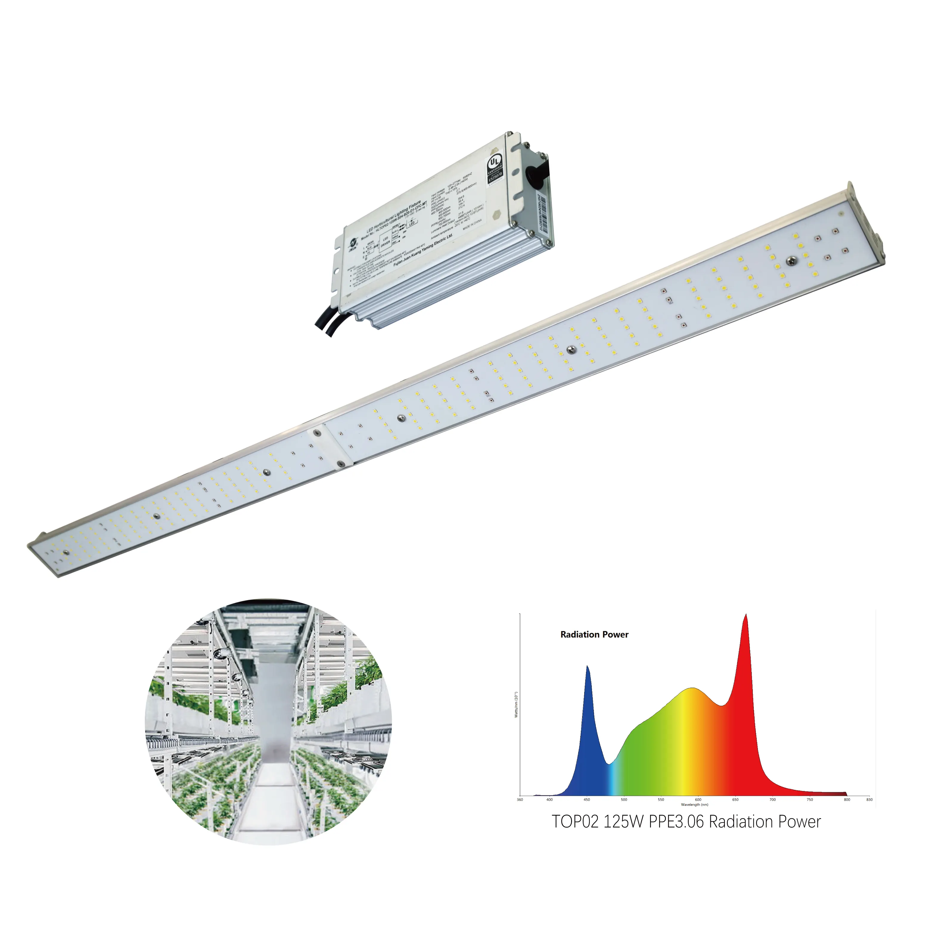 Plan grow light 100w 125w 150w dimmerabile FULL spectrum Led grow light bar per pianta medica