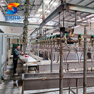 100Bph-3000Bph Planta de Procesamiento de Pollo Halal Musulmán Matanza Máquina de Matar Pollos Equipo para Matadero de Aves - Product Image 1