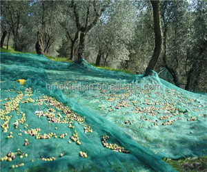 Hiệu quả ô liu và trái cây thu hoạch lưới nhựa 70gsm/90gsm/100gsm với dịch vụ cắt để tối đa hóa năng suất cây trồng - Product Image 1