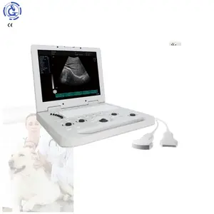 Dispositivo de ultrasonido 3D médico USG precio barato