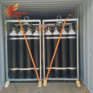 Support Mural Porte-Bouteilles CO2 Inox 2-10 Kg Avec Chaîne De Sécurité - Fixation Robuste Pour Machine à Gazéifier Et Eau Pétillante