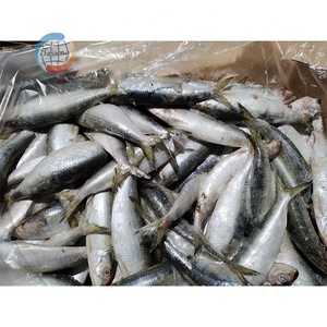 <span class=keywords><strong>Sardines</strong></span> congelées de haute qualité Sea Catch WR, produits de <span class=keywords><strong>la</strong></span> <span class=keywords><strong>mer</strong></span> en vente, prix d'usine en promotion - Product Image 4