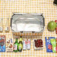 Panier de pique-nique pliable d'extérieur, sacs à lunch isothermes, boîte de rangement, panier de pique-nique de camping avec couvercle