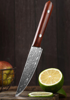 Couteau à fruits et à steak de 4 pouces, lame en acier inoxydable Damas à 67 couches, style japonais, écologique, fait main, ambidextre, manche en bois