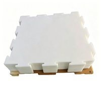 Pista de Hielo Sintético Autolubricante de Alta Densidad UHMWPE para Entrenamiento de Hockey en Patio Trasero y Patinaje Artístico