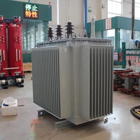 Premium Düşük Kayıplı 3 Fazlı Güç S13-M-400 400kVA 10kV/0.4kV Dış Mekan Yağlı Tip Dağıtım Trafosu 5 Kademeli Tapalı