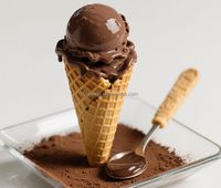Mélange pour crème glacée au chocolat et cacao, base polyvalente pour glaces molles, idéal pour cornets, coupes et tranches, service OEM/ODM, économique