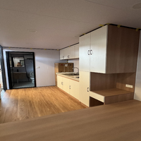 Maison préfabriquée en acier de haute qualité, écologique, imperméable, type Apple Cabin Container, structure en acier durable, maison modulaire