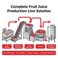 Fabrieks prijs continue schroefpers sapcentrifuge grote capaciteit schroefpers spiraalvormige fruitpers machine hoge opbrengst productielijn