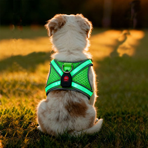 Led Illuminated Pet Harness Vest Style <b>Dog</b> Leash Breathable Night <b>Light</b> Luminous Green Oxford Cloth Chest Strap - Product Image 3