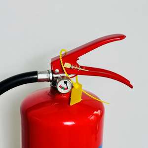 <span class=keywords><strong>Extincteur</strong></span> d'incendie en acier <span class=keywords><strong>chromé</strong></span> d'usine 20%ABC 40%ABC DCP 1KG 4KG 6KG 9KG Équipement d'<span class=keywords><strong>extincteur</strong></span> d'incendie - Product Image 3