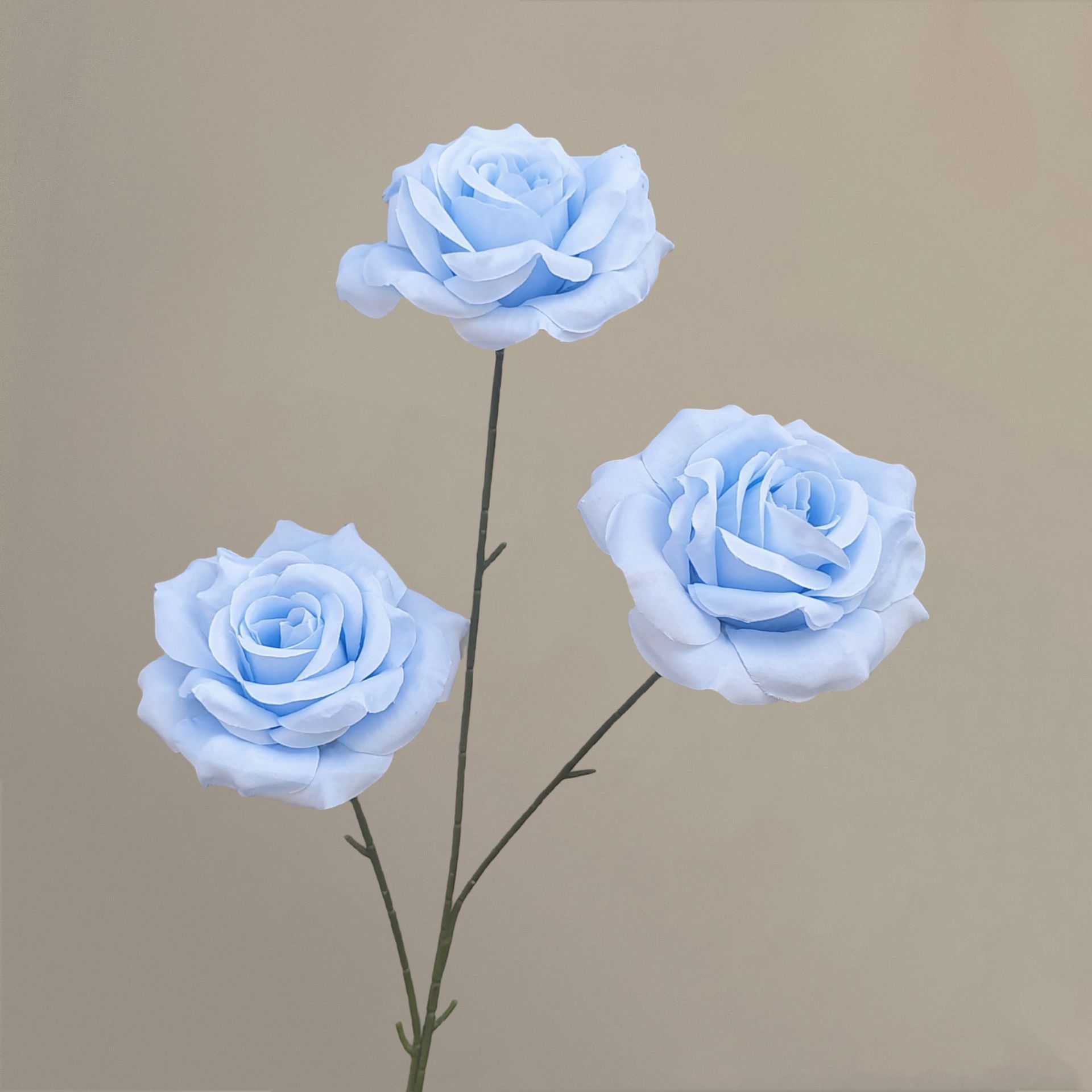 Diamant à 3 têtes [sans feuilles] rose bleu clair