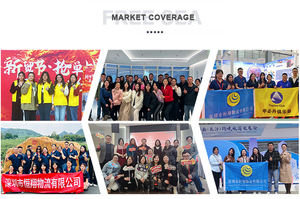 从中国到德国的DDP铁路运输法国门到门服务 - Product Image 4