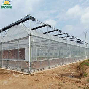 Màng Nhựa PE/Po Dạng Vòm Nhiều Lớp Nhà Xanh Nông Nghiệp Có Hệ Thống Thủy Canh Cho Cà Chua - Product Image 6