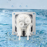 Pompe péristaltique LEFOO fiable 12V DC 12-270ml/min, mini pompe péristaltique pour système d'irrigation hydroponique