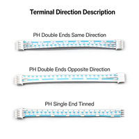 Kabel Pita Datar Plastik Biru-Putih Custom JST 2.0 PH 2.0 2/3/4/5/6/7/8/9/10-Pin untuk Perakitan Kabel Konektor Otomotif