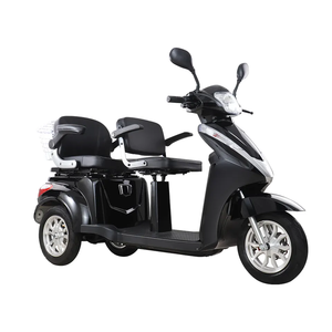 60v 500w EEC onayı üç tekerlekli 3 tekerlekli 2 yolcu özelleştirilmiş elektrikli Trike sürüklenme Scooter/elektrikli motosiklet