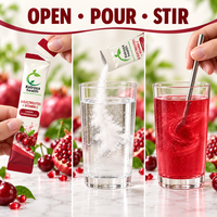 Poudre d'électrolytes végétalienne sans sucre, 6 saveurs de fruits, complément alimentaire, mélange d'hydratation naturelle, boisson électrolytique