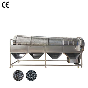 Automatic Berries Cleaning Machine Acai Berry Destemming and Washing Machine for Sale - Product Image 1