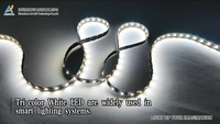 Bande LED numérique à pixels à contrôle SPI individuel haute cohérence UCS1903 UCS8903 UCS7604 WWA DC5V 60 LED pour clubs et parcs à thème