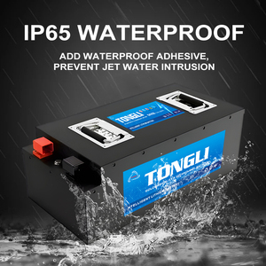 แบตเตอรี่ลิเธียมโซลิดสเตทกันน้ำ 64v 200Ah 220Ah 300Ah พร้อมระบบจัดการแบตเตอรี่ (BMS) คุณภาพสูง ได้รับการรับรองมาตรฐาน CE สำหรับเรือ - Product Image 5