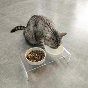 Tilted yükseltilmiş gıda ve su kaseler kedi veya küçük köpekler için standı köpeğin şeffaf akrilik seramik kaplar tutucu - Product Image 3