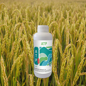 Phân bón phốt pho và kali, sức đề kháng và thân cây mạnh mẽ, tăng hạt và năng suất lúa - Product Image 1