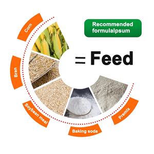 Prémélange alimentaire pour moutons et chèvres <span class=keywords><strong>Ad3E</strong></span> Supplément de vitamines Additifs alimentaires à croissance rapide - Product Image 3