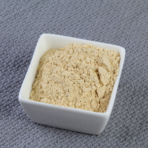 Halal Certified 100% Pure Alho Em Pó Vegetais Secos de Alta Qualidade para Alimentos e Churrasco Bom Sabor A Granel Ingredientes - Product Image 5