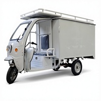 Tricycle électrique à trois roues pour colis express, véhicule de transport, marque chinoise Tuk Tuk électrique, batterie