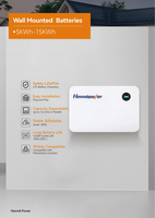 Système de stockage d'énergie mural Henndipower 10 kWh 51,2 V 200 Ah LiFePO4, batterie lithium-ion, pack Powerwall solaire pour la maison