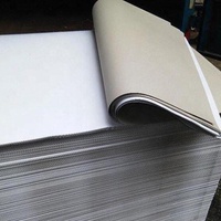 Carton duplex gris premium, simple face couchée, 200-400 g/m², dos gris/blanc, papier d'impression offset laminé