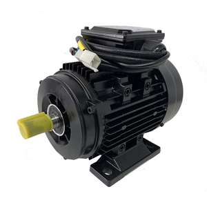 Motor de CC sin Escobillas de 1.2KW, 3000r/min, 24v, 36v, 3.8N.m, Personalizado - Product Image 5