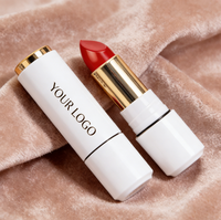 Rouge à lèvres mat vegan longue tenue et waterproof, en gros pour OEM, faible MOQ, avec logo personnalisé et marque privée