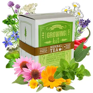 Kit inicial de chá de ervas medicinais para jardim de ervas, kit de cultivo de chá de ervas daninhas