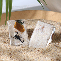 Presse-papiers avec véritable spécimen de scorpion, 4,4 x 2,8 cm, profil fin, insectes en résine transparente, décoration de bureau éducative, cadeau unique