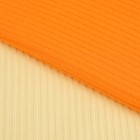 Tissus de yoga côtelés en tissu chinois jersey serré côtelé techno 32s 2x2 100% polyester tissu côtelé à double ligne