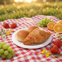 Assiettes jetables en bagasse de canne à sucre biodégradables, écologiques, sans PFAS, imperméables, sans danger pour les aliments et non toxiques, pour Noël