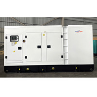 Générateur diesel silencieux de qualité supérieure CITY LION à châssis ouvert 300 kVA 240 kW avec ATS automatique, télécommande, étanche, onduleur 60 Hz 230 V