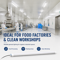 Lumière LED Tri-Proof pour Usine Alimentaire, IP65, Anti-UV, Diffuseur PC, Lumière Linéaire pour Atelier Propre