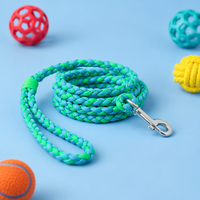 2025 nouveautés faites à la main Paracord chiens harnais accessoires pour animaux de compagnie rétractable luxe chien collier et laisse ensemble